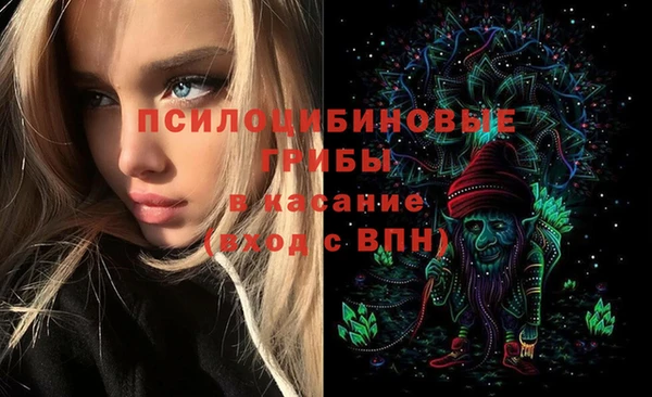 соль ск Абдулино