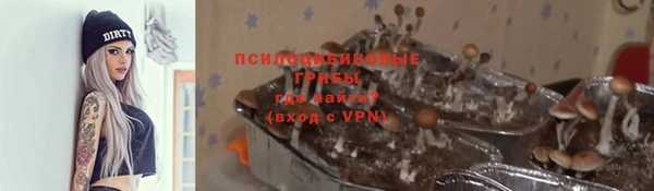 спайс Няндома