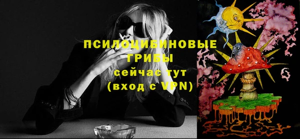 ПСИЛОЦИБИНОВЫЕ ГРИБЫ Алексеевка