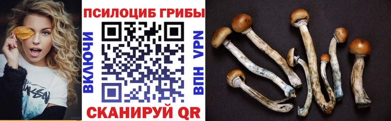 Псилоцибиновые грибы мухоморы  OMG ссылки  площадка телеграм  Нягань 