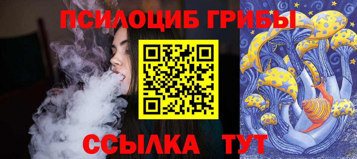 Псилоцибиновые грибы Psilocybe  Вход с VPN  Нягань 
