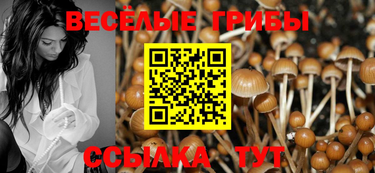 Галлюциногенные грибы Magic Shrooms Нягань